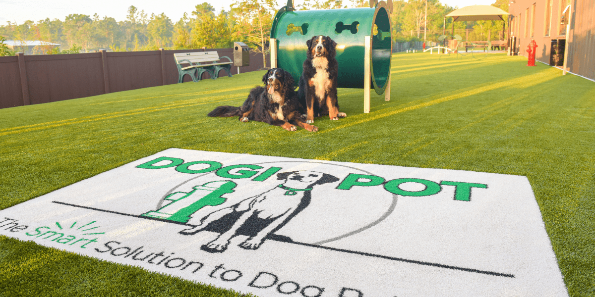 DogiPot_1200x600